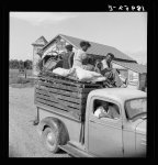 Mississippi Delta, on Mississippi Highway No. 1 between Greenville and Clarksdale. Negro laborer's family being moved from Arkansas to Mississippi by white tenant