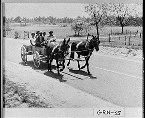 Photograph of an African-American family riding in a wagon, Greene County, Georgia, 1941 June