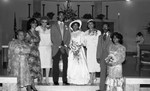 Anderson/Clemmons wedding party posing for a portrait, Los Angeles