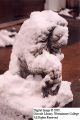 Lion Statue Outside Payne in Snow