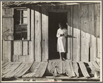 Daughter of Negro sharecropper, Arkansas