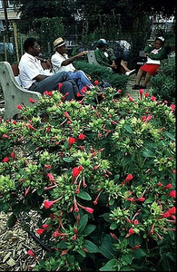 [Aspen Farms Community Garden]: community gardeners taking a well-earned rest.