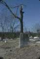 Gravestone for Robert Harris at Westcott Cemetery in Montgomery, Alabama.