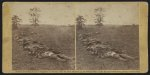 Gathered together for burial after the Battle of Antietam