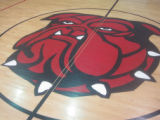 Bruce High School: gym mascot