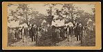 Group of Negros on their way to the cotton field, St. Helena Is. [i.e. Island], S.C.