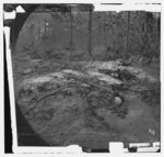 [Cold Harbor, Va., vicinity. Unburied dead on the battlefield of Gaines' Mill]