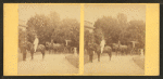 View of African American groom holding reins of horse with rider