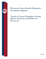 Wisconsin cancer health disparities sureillance reports : trends in cancer disparities among African Americans and Whites in Wisconsin (2009)