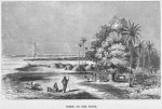 Scene on the Niger