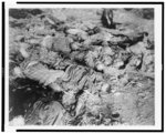 Horrible examples of Nazi brutality found by American 3rd Armored Div., FUSA when it captured the German slave labor camp at Nordhausen ...Dead workers lie in uneven rows on floors of barracks