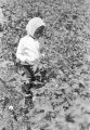 Young girl picking cotton in the field of Mrs. Minnie B. Guice near Mount Meigs in Montgomery County, Alabama.