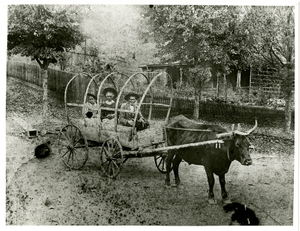 Photograph of Castleberry family, Auraria, Georgia, 1900