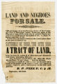 Land and negroes for sale