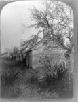 Florida-- ruins of the slave cabins--Ft. George Id.