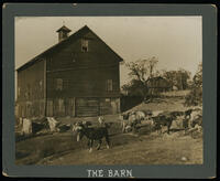 Agriculture Department Barn, circa 1900