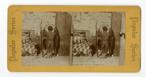 Racial stereotypes : stereographs