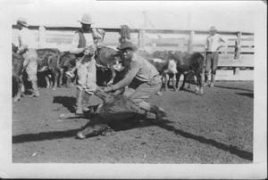 African-American cowboys branding calves at John Moore Ranch