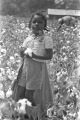 Little girl picking cotton in the field of Mrs. Minnie B. Guice near Mount Meigs in Montgomery County, Alabama.