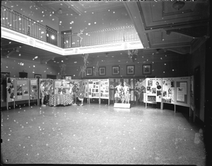 Dr. Montague Cobb's Medical Exhibit [acetate film photonegative]