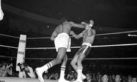 Thomas Hearns; Boxers; Bouts. Vs. Pedro Rojas.