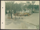 Thumbnail for Washington Park (0021) Features - Playgrounds - Bynum Adventure Playland, 1970-06-30