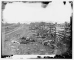 [Antietam, Md. Confederate dead by a fence on the Hagerstown road]