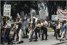 Vietnam War Protest