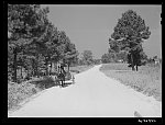 Negro driving wagon along country road to store on Saturday. Near Farrington, Chatham County, North Carolina