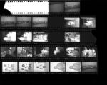 Thumbnail for Set of negatives by Clinton Wright including car wash, birthday party, Jean Murray and Sharn, Elder Ray, and Aunt Dott's welcome home, 1965