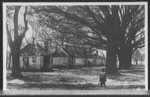 Slave quarters, the Hermitage