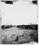 Savannah, Georgia (vicinity). Wagon train parked near Savannah