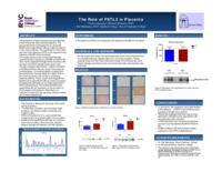 The role of FSTL3 in placenta