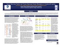 Tumor necrosis factor and tumor necrosis factor receptors in coelacanth genes