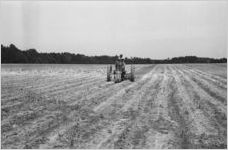 African American man on tractor 2