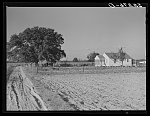 New home of Cube Walker, Negro tenant purchase client. Belzoni, Mississippi Delta, Mississippi