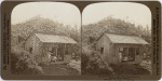 A Native Country School House among the Banana Trees, Jamaica