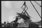 [Untitled photo, possibly related to: Part of machine developed by Negro for loading sugarcane onto trucks near New Iberia, Louisiana]