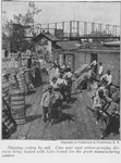 Shipping cotton by rail; Cars near vast cotton - growing districts being loaded with bales bound for the great manufacturing centers