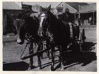 Mule-drawn carriage