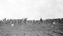 Manassas Agricultural school. Views of agricultural plots. George Carr Round pictured at right