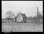 Negro home near Beaufort, South Carolina