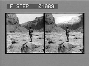 Resistless muddy waters of the Colorado, ever cutting away the river bed. [Active no. 12229 : stereo photonegative]