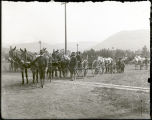 African-American Battalion at Fort Missoula